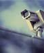 ASIO chief pledges not to act as 'Big Brother'