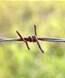 Crime Commission floats fines for ISPs who won't block sites